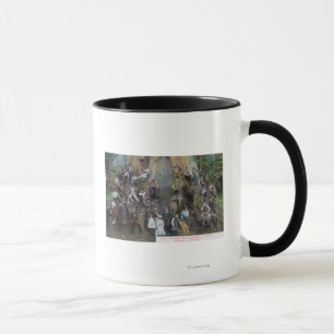Taza Opinión Boole, el árbol más grande del mundo