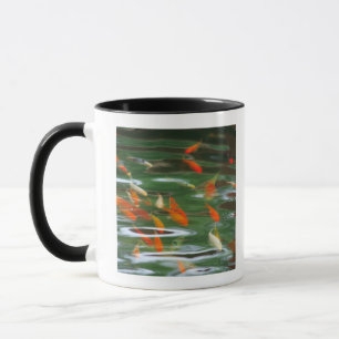 Taza Opinión de alto ángulo los pescados de la mierda