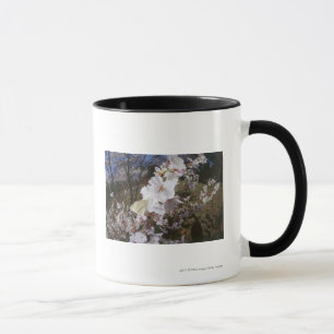 Taza Opinión de Fisheye la mariposa en la flor