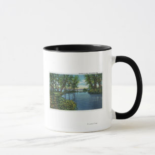 Taza Opinión de la entrada de la entrada