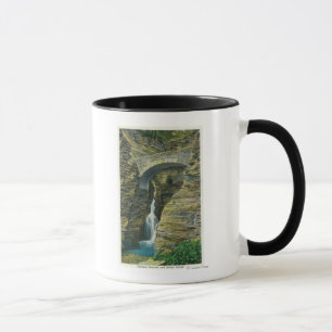 Taza Opinión del puente de la cascada y del centinela