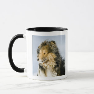 Taza Opinión el perro pastor de Shetland