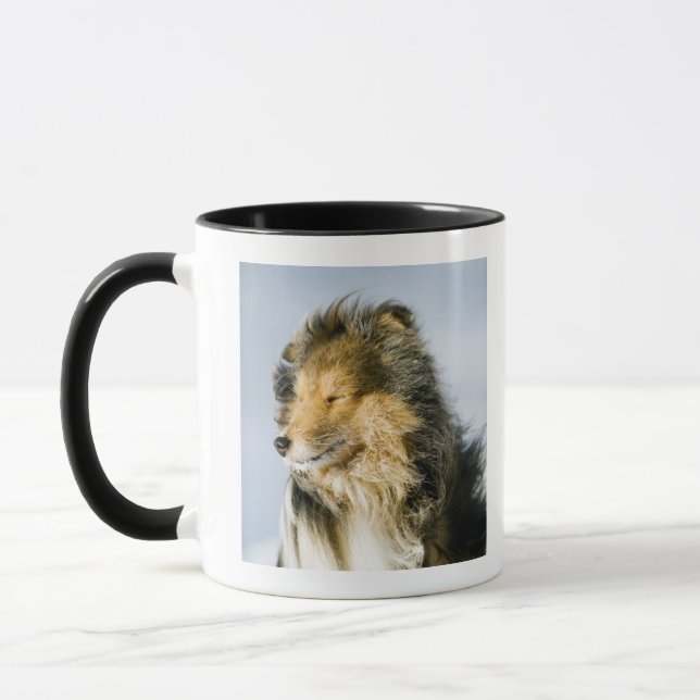 Taza Opinión el perro pastor de Shetland (Izquierda)