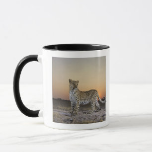 Taza Opinión integral el leopardo (pardus del Panthera