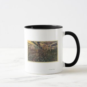 Taza Opinión interior el JR Simplot que deshidrata el