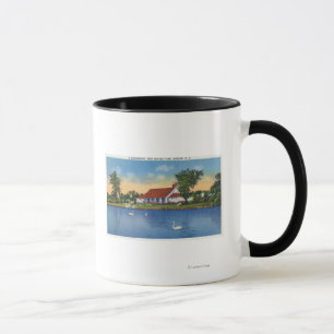 Taza Opinión los cisnes del parque de Hoopes en el lago