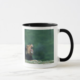 Taza Opinión un león (Panthera leo) que abre su boca