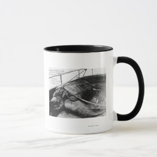 Taza Opinión una tortuga de mar gigante en cautiverio