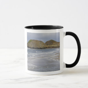 Taza OR, Costa de Oregón, Parque Estatal Seal Rock,
