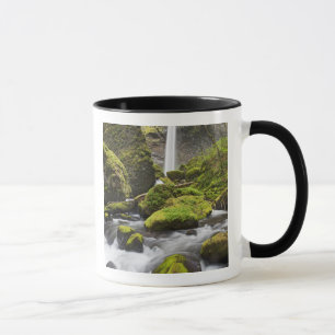 Taza OR, desfiladero del río Columbia, cascadas de Elow