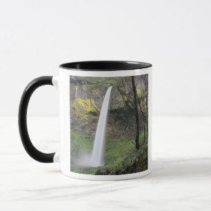 Taza OR, desfiladero del río Columbia, Elowah Falls, Mc