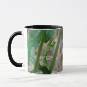 Taza Orando Mantis Mug
