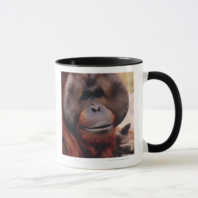 Taza Orangután (Derecha)
