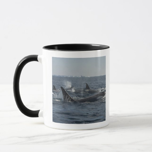 Taza orca (Izquierda)