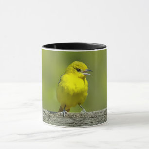 Taza Orchard Oriole - Foto original