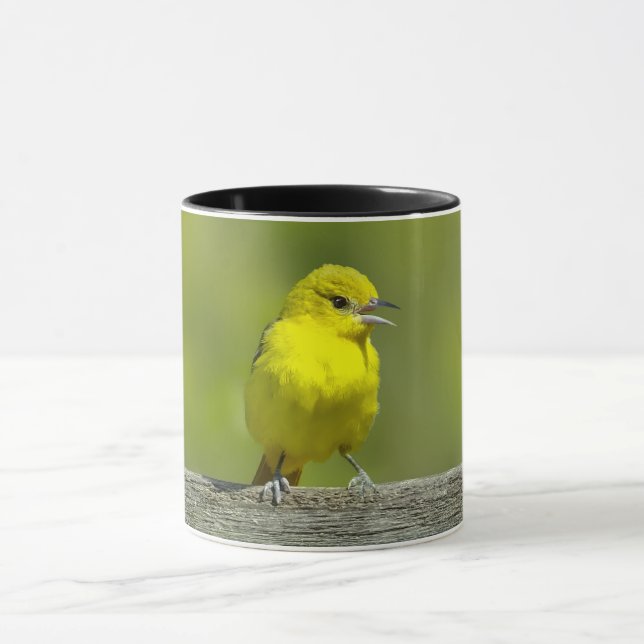 Taza Orchard Oriole - Foto original (Centro)