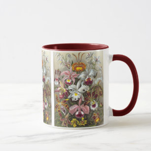 Taza Orchids Ernst Haeckel Bella Artes