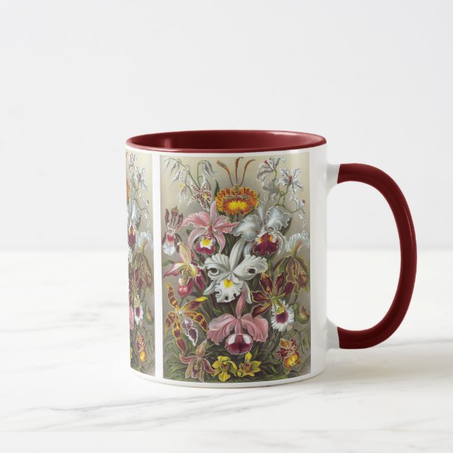 Taza Orchids Ernst Haeckel Bella Artes (Derecha)