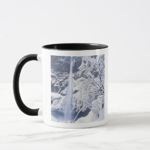 Taza Oregón, Área Escénica Nacional desfiladero de Colu