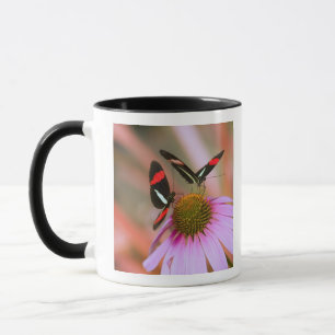 Taza Oregon, los E.E.U.U. 3