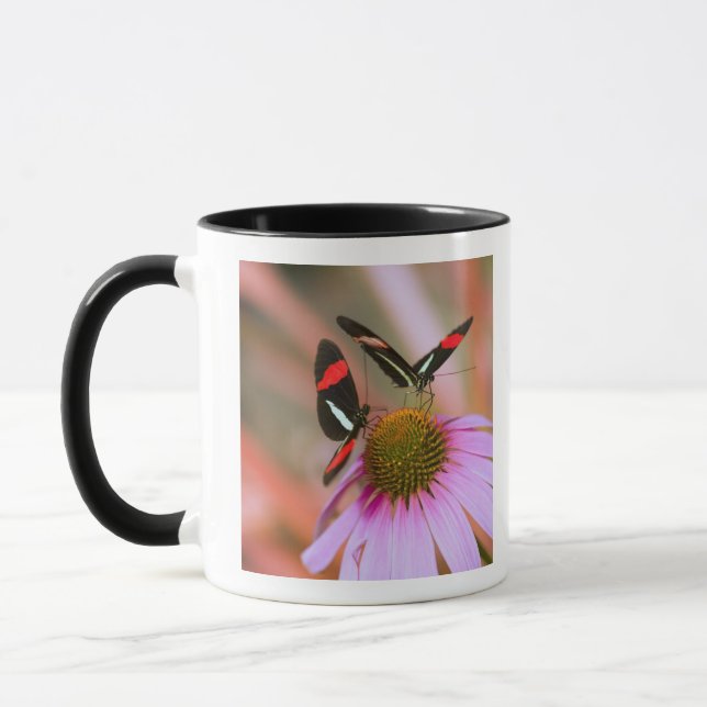 Taza Oregon, los E.E.U.U. 3 (Izquierda)