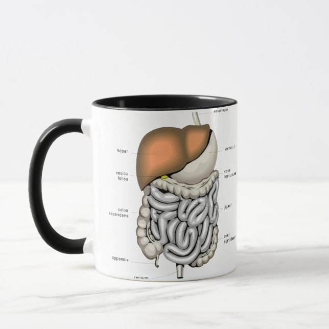 Taza Órganos digestivos (Izquierda)