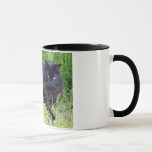 Taza Orgulloso real felino del pelo largo mullido del