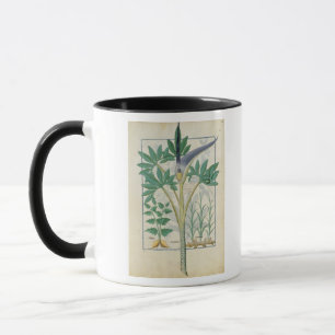 Taza Orquídea