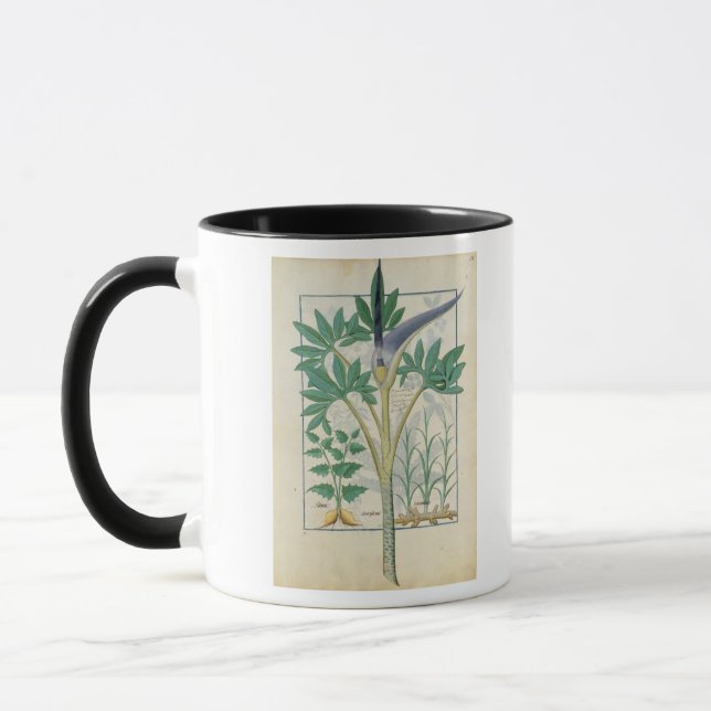 Taza Orquídea (Izquierda)