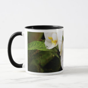 Taza Orquídea Blanca de la Luna (Afrodita de Falenopsi