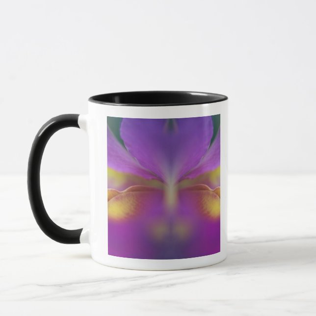 Taza Orquídea híbrida, Florida 2 (Izquierda)