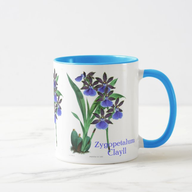 Taza Orquídea Zygopetalum Clayll (Derecha)