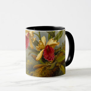 Taza Orquids y Hummingbird Heade