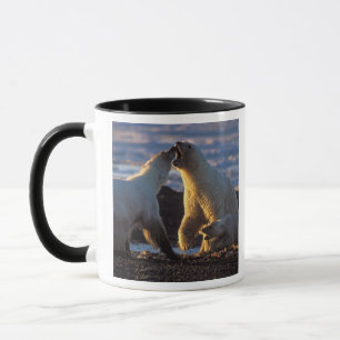 Taza Osa de oso polar con cría al lado, 1002 costera
