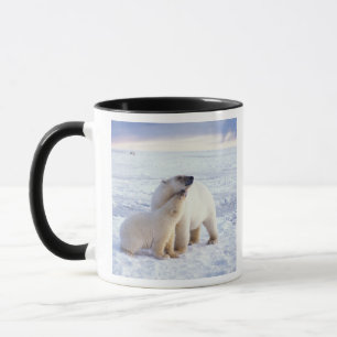 Taza Osa de oso polar con cría, manada
