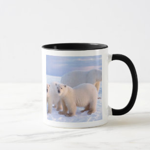 Taza Osa de oso polar con crías en el hielo a la deriva