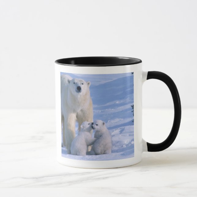 Taza Osa Polar de Pie con 2 Cachorros (Derecha)