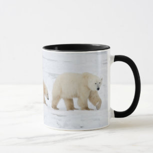 Taza Osas polares hembra y dos crías