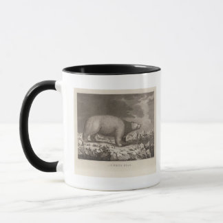 Taza Oso blanco en Alaska