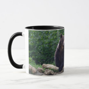 Taza Oso de Brown