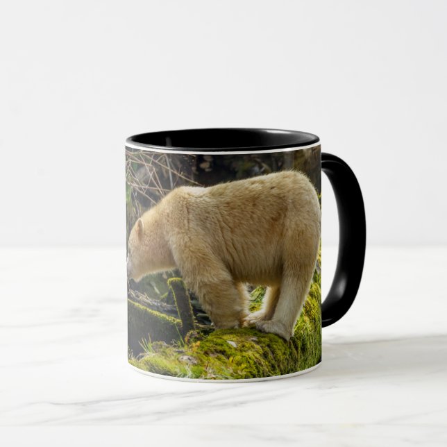 Taza Oso Espíritu Blanco (Anverso derecho)
