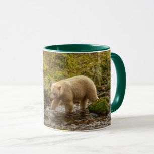 Taza Oso Espíritu Blanco caza peces en el arroyo Riorda