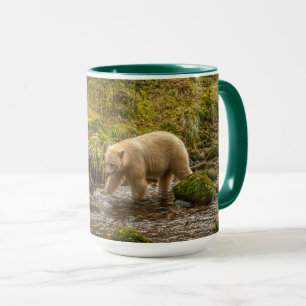 Taza Oso Espíritu Blanco caza peces en el arroyo Riorda
