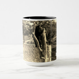 Taza Oso fotográfico de Elgin Illinois Lords Park 1890