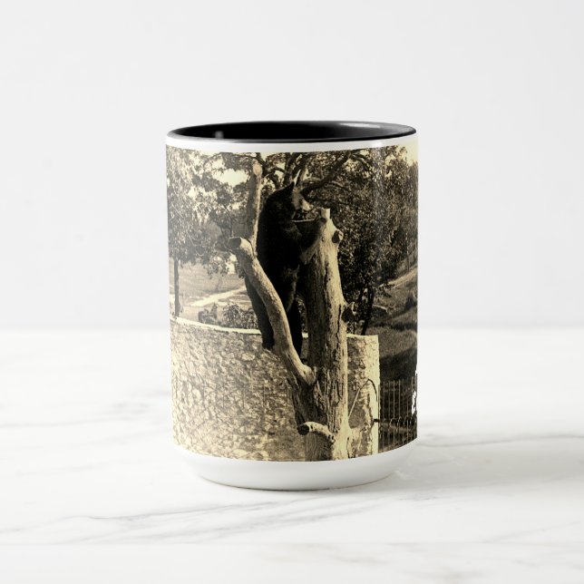 Taza Oso fotográfico de Elgin Illinois Lords Park 1890 (Centro)