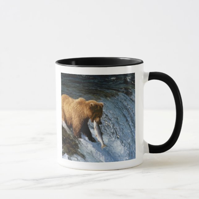 Taza Oso marrón de Alaska atrapando salmón en Brooks (Derecha)