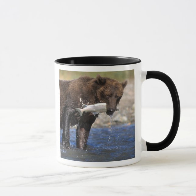 Taza Oso marrón, oso pardo, con salmón capturado, (Derecha)