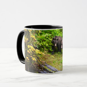 Taza Oso marrón y cachorro Hyder, Alaska