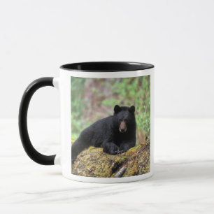 Taza Oso negro en un viejo tronco de crecimiento en el