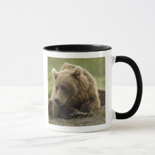 Taza Oso pardo, o oso grizzly costero, Ursus